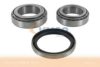 OPEL 0330019KIT Wheel Bearing Kit